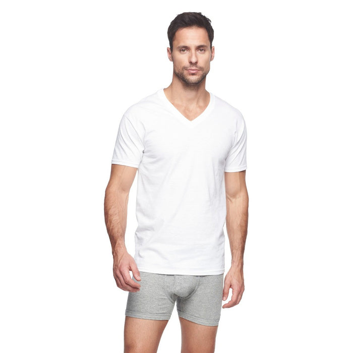 Hanes Men's PremiumV-Neck T-Shirt 6pk - White 2XL