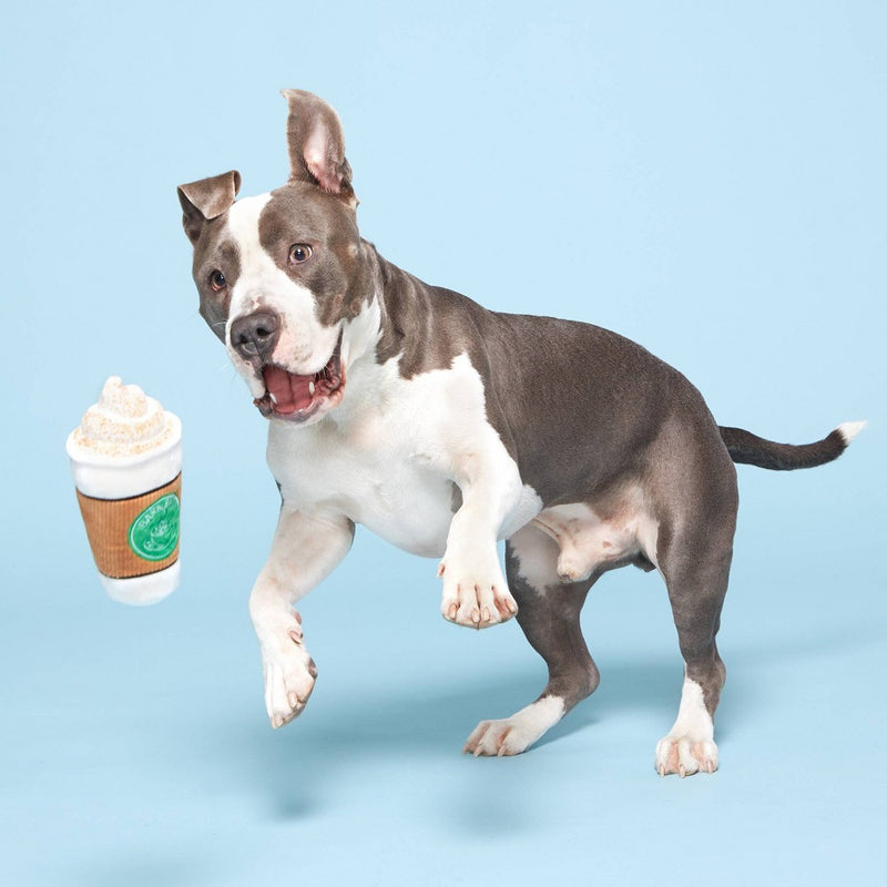 BARK Bark Brew Coffee Cup Dog Toy
