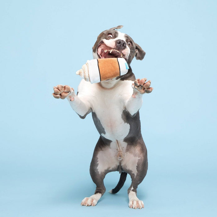 BARK Bark Brew Coffee Cup Dog Toy