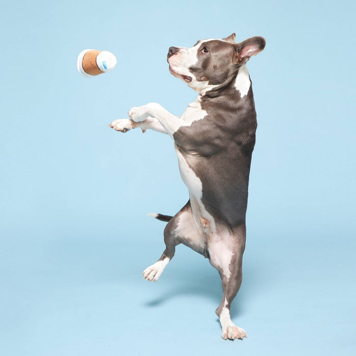 BARK Bark Brew Coffee Cup Dog Toy