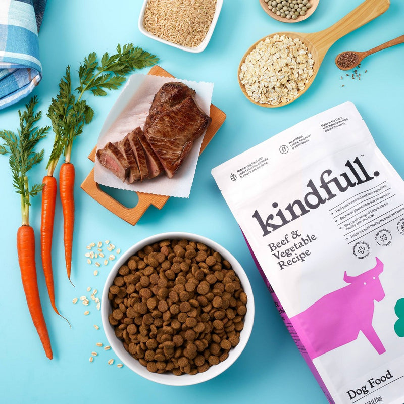 Beef and Vegetable Recipe Dry Dog Food - 23lbs - Kindfull™ (LOCAL PICKUP ONLY)