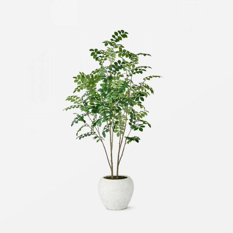 Moringa Artificial Tree Green - Threshold™ designed with Studio McGee (LOCAL PICKUP ONLY)