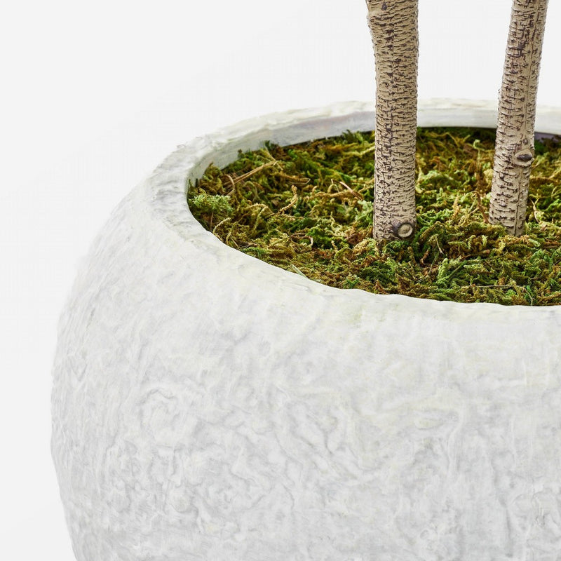 Moringa Artificial Tree Green - Threshold™ designed with Studio McGee (LOCAL PICKUP ONLY)