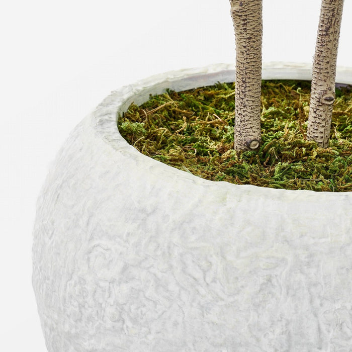 Moringa Artificial Tree Green - Threshold™ designed with Studio McGee (LOCAL PICKUP ONLY)