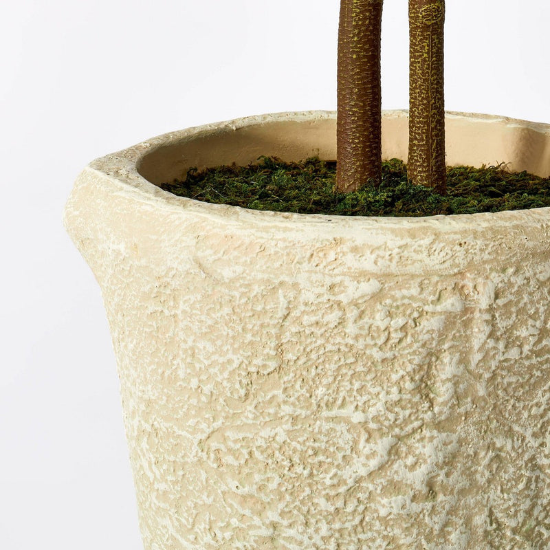 Maple Artificial Tree - Threshold™ designed with Studio McGee (LOCAL PICKUP ONLY)