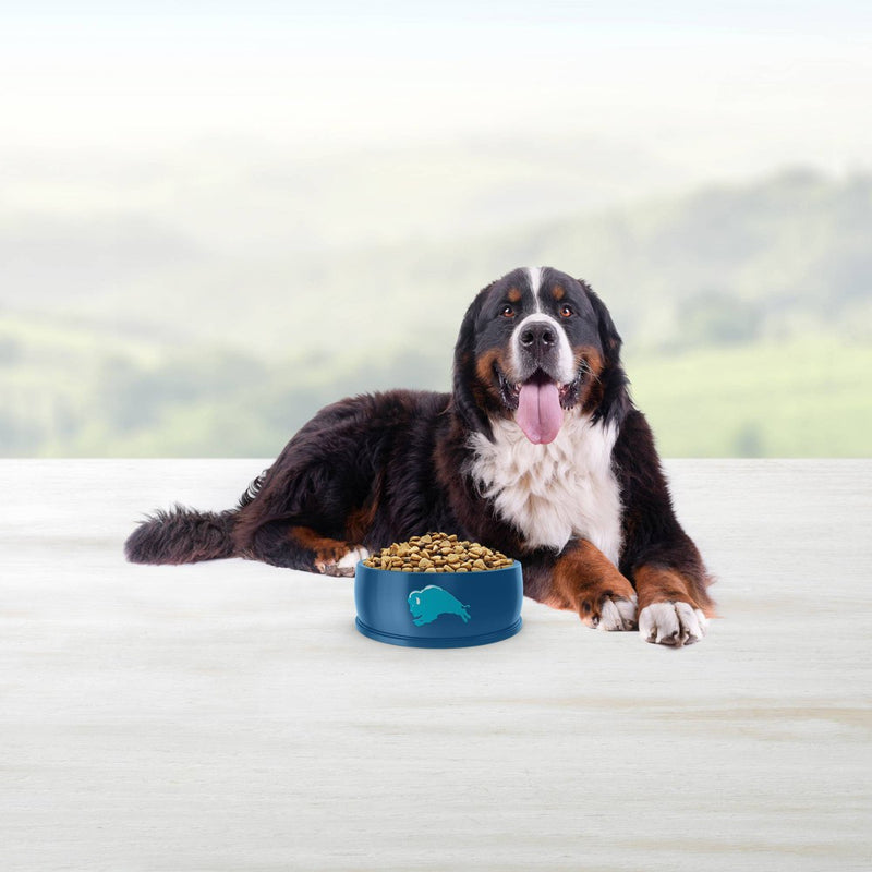 Blue Buffalo Life Protection Formula Natural Adult Large Breed Dry Dog Food with Chicken and Brown Rice - 15lbs (LOCAL PICKUP ONLY)