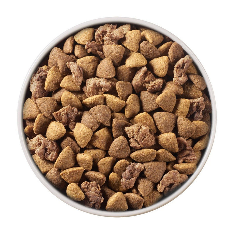 Purina ONE SmartBlend Lamb & Rice Formula Adult Dry Dog Food - 8lbs