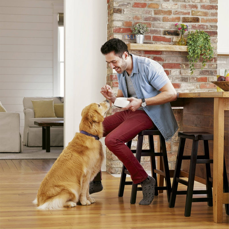 IAMS Proactive Health High Protein Chicken & Whole Grains Recipe Large Breed Adult Premium Dry Dog Food - 15lbs (LOCAL PICKUP ONLY)