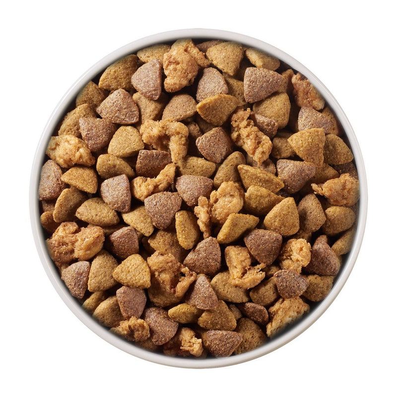 Purina ONE SmartBlend Chicken & Rice Formula Adult Dry Dog Food - 8lbs