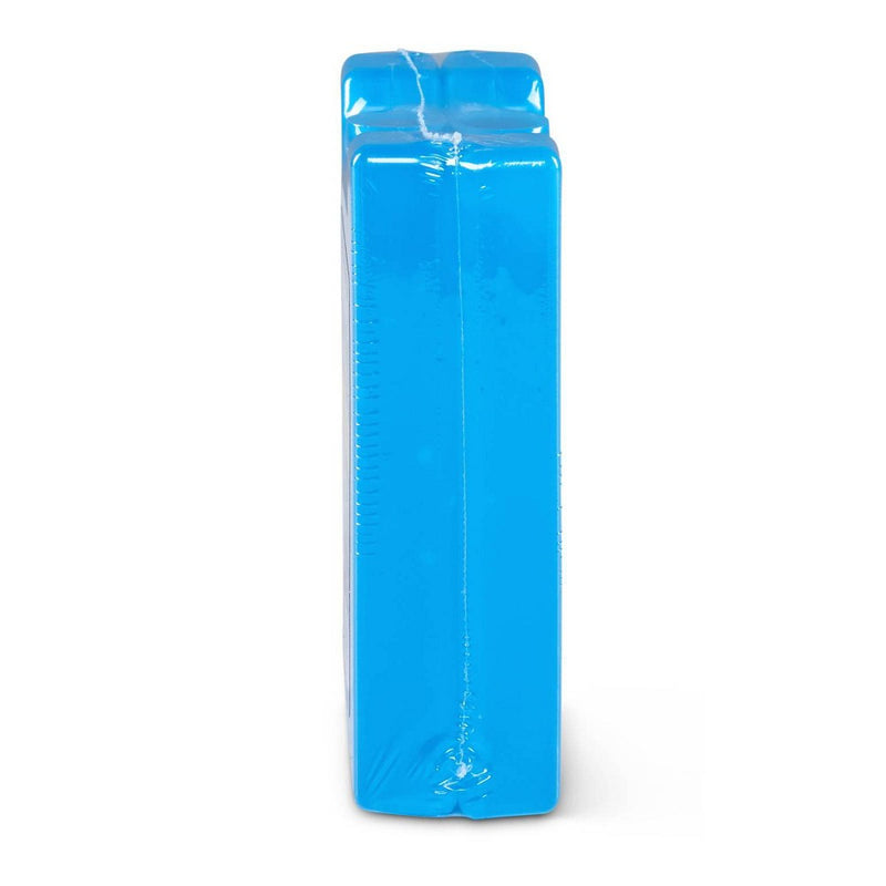 Igloo Refreezable Ice Block 2pk - Small