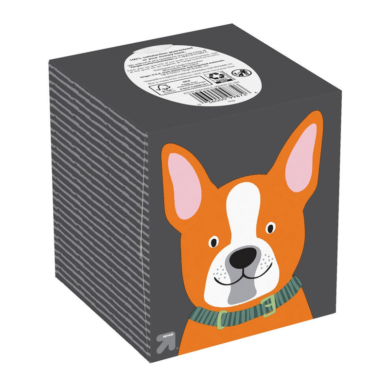 Kids Facial Tissue - Design May Vary - 70ct - up & up™