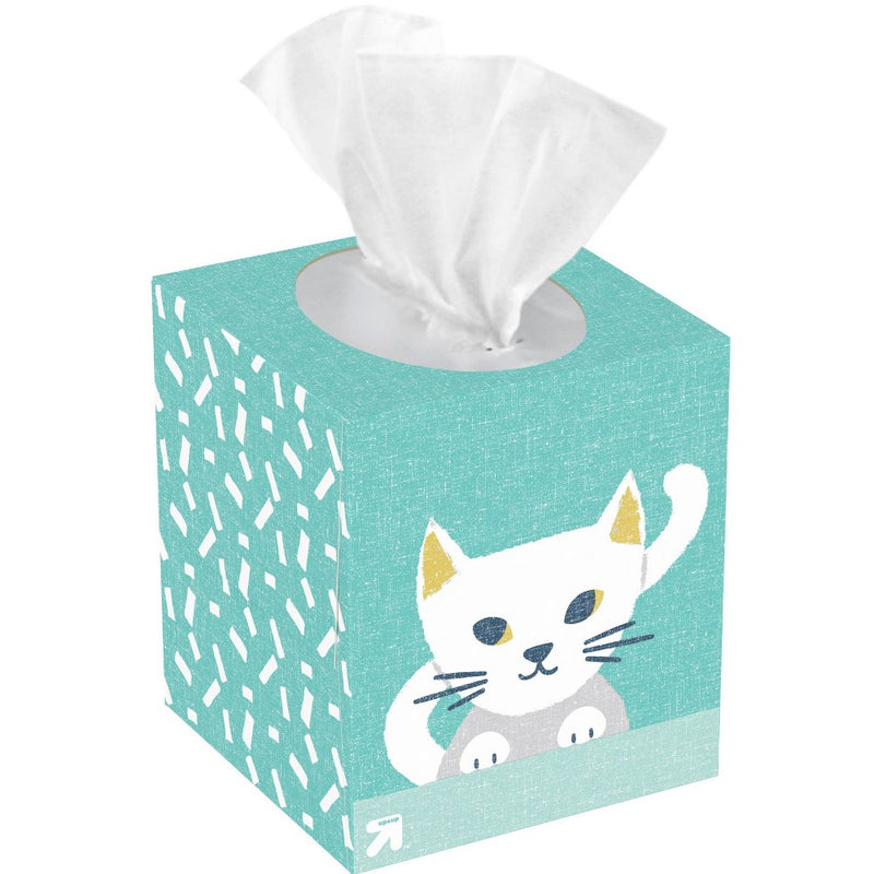 Kids Facial Tissue - Design May Vary - 70ct - up & up™