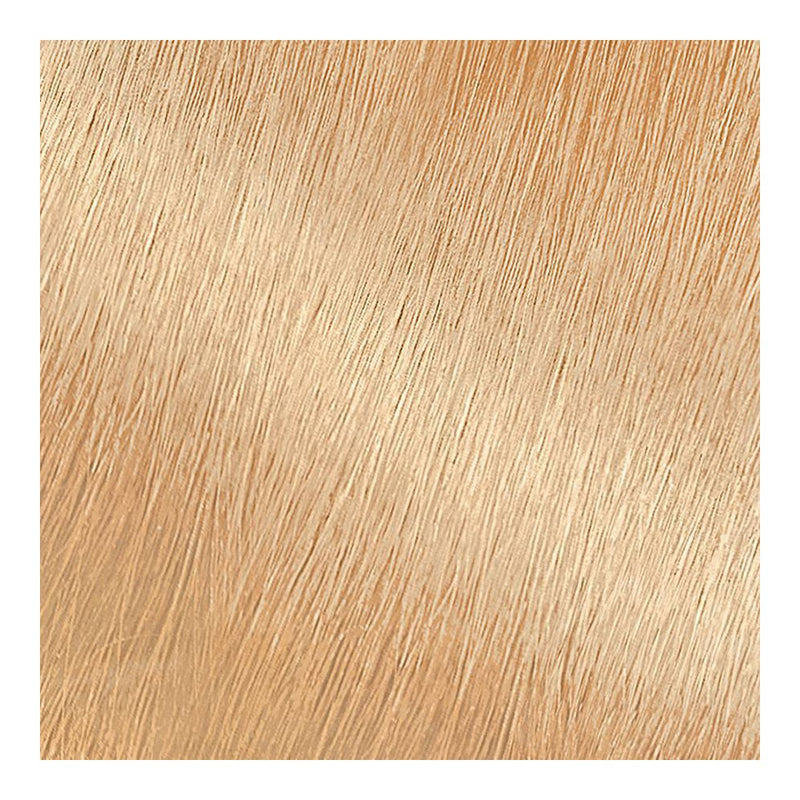 Garnier Nutrisse Nourishing Hair Color Creme 100 Extra-Light Natural Blonde