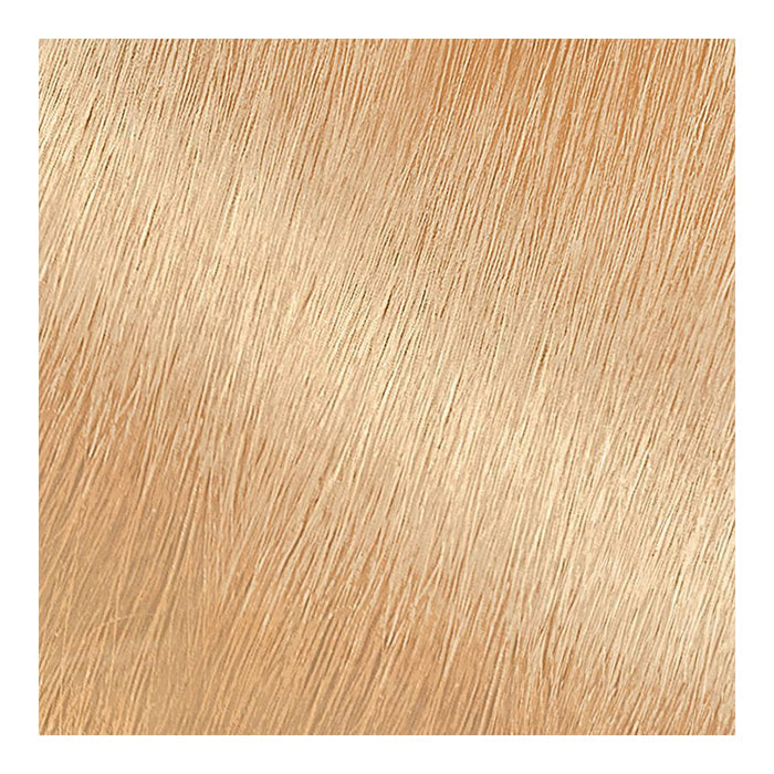 Garnier Nutrisse Nourishing Hair Color Creme 100 Extra-Light Natural Blonde