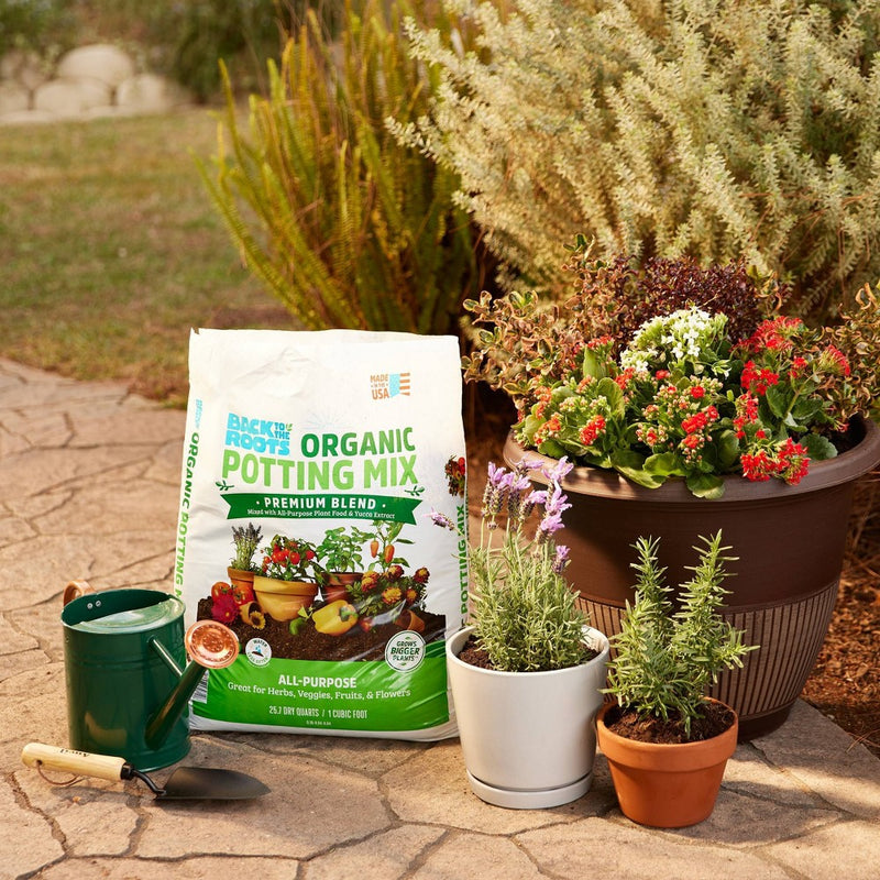 Back to the Roots 1CF Premium All-Purpose Potting Mix (LOCAL PICKUP ONLY)