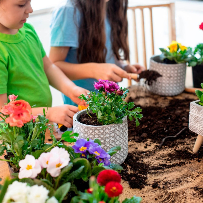 Back to the Roots 1CF Premium All-Purpose Potting Mix (LOCAL PICKUP ONLY)