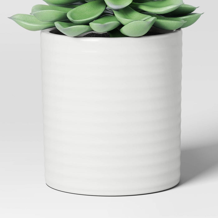 Small Succulent Artificial Plant Arrangement - Threshold™