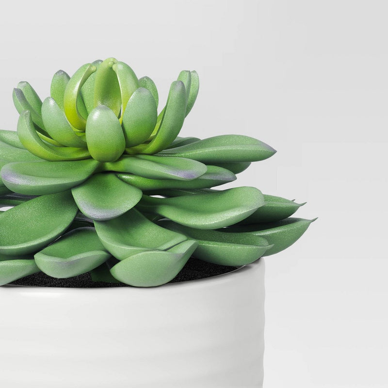 Small Succulent Artificial Plant Arrangement - Threshold™