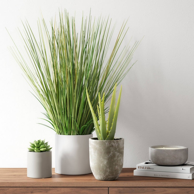 25" x 15" Artificial Onion Grass Arrangement in Ceramic Pot - Project 62™