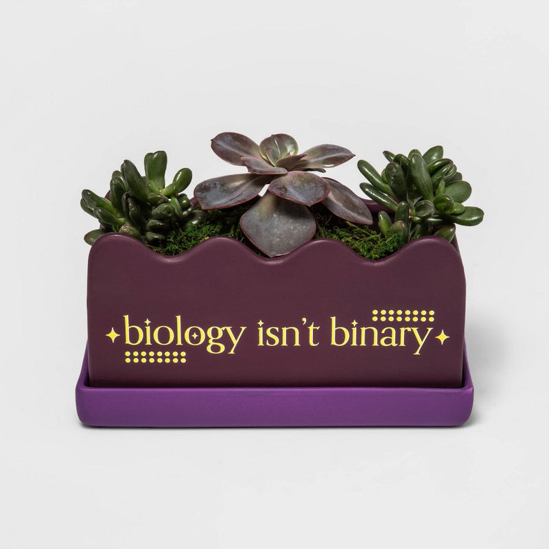 Attached Saucer Planter - Pride