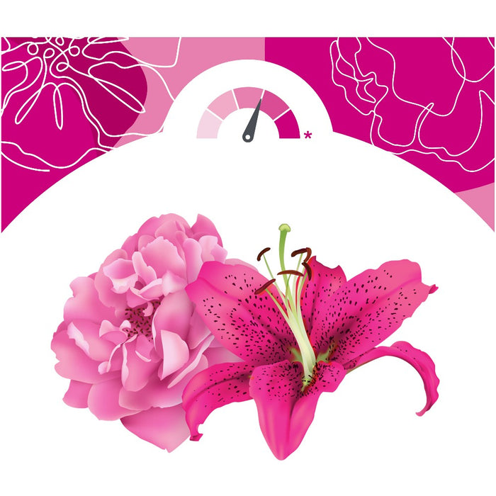 Summer's Eve Amber Nights Wash - 15oz