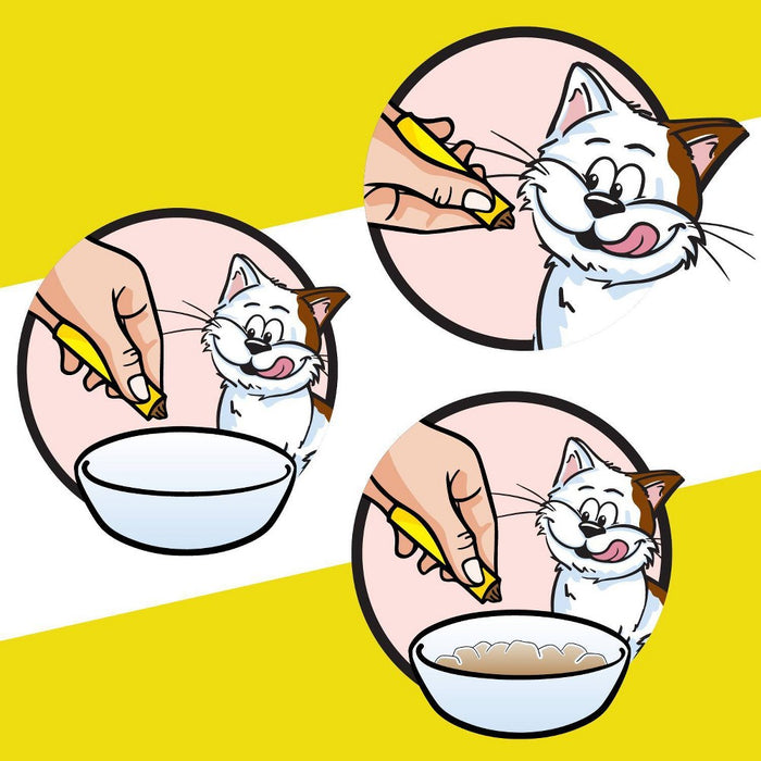 Temptations Creamy Puree with Salmon Lickable Adult Cat Treats - 1.7oz