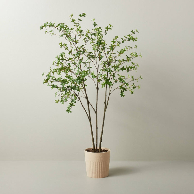 55" Faux Gypsophila Leaf Tree - Hearth & Hand™ with Magnolia (LOCAL PICKUP ONLY)