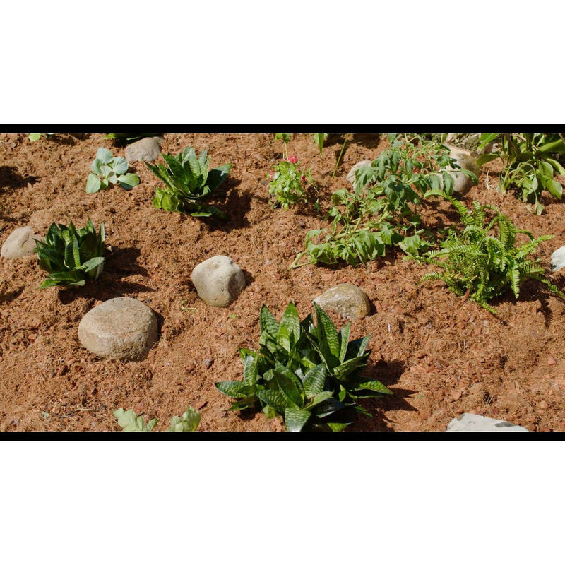 PlantBest 3.3lb MegaMulch Coconut Coir Block