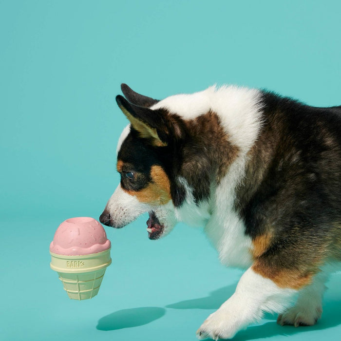 BARK Super Chewer I-Squeak Cone Ice Cream Dog Toy