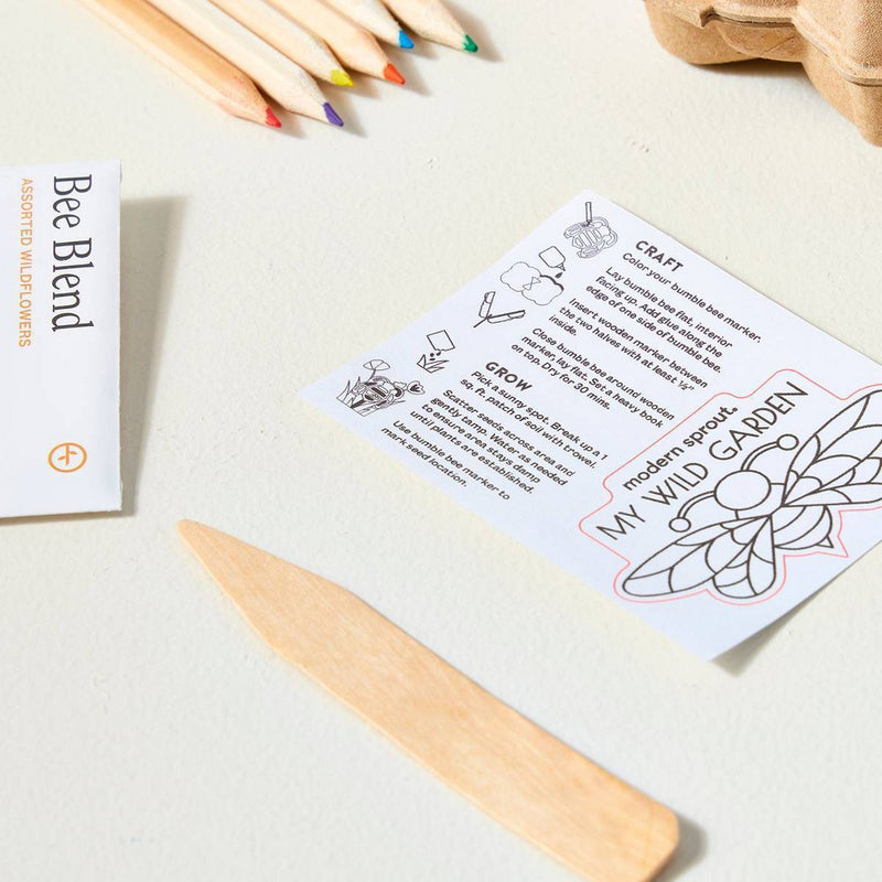 Modern Sprout Curious Critter - Bee Activity Kit