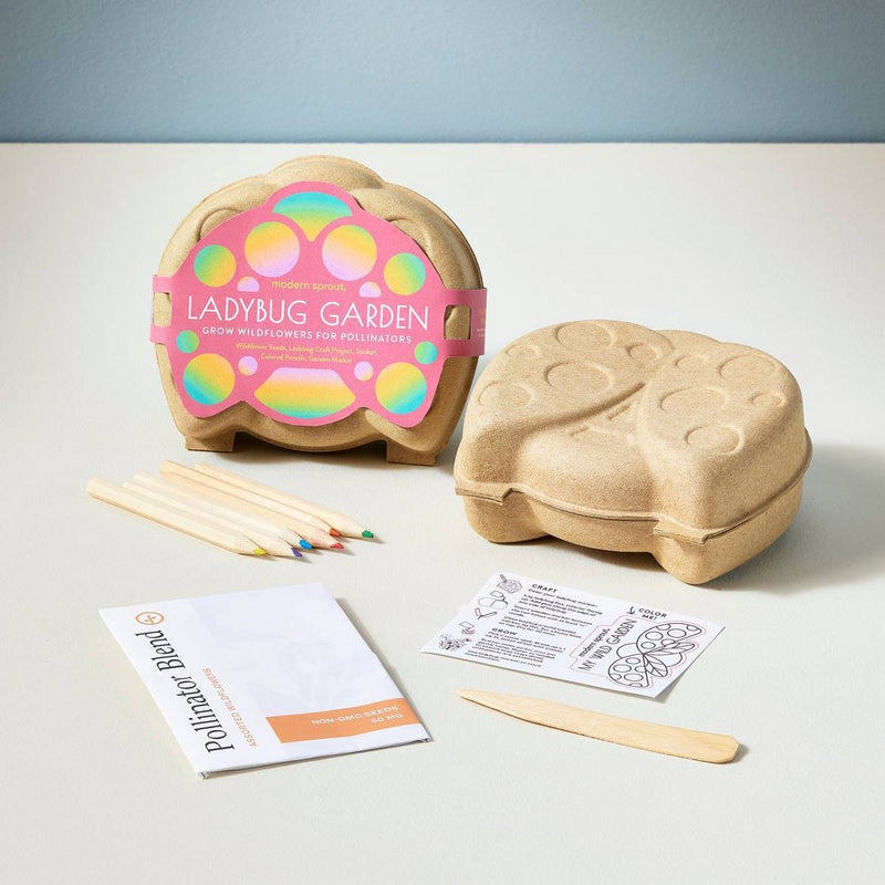 Modern Sprout Curious Critter - Ladybug Activity Kit