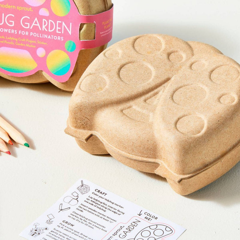 Modern Sprout Curious Critter - Ladybug Activity Kit