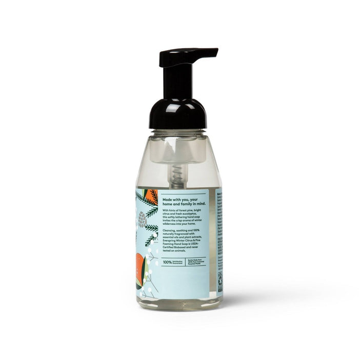 Winter Citrus & Pine Foaming Hand Soap - 10 fl oz - Everspring™