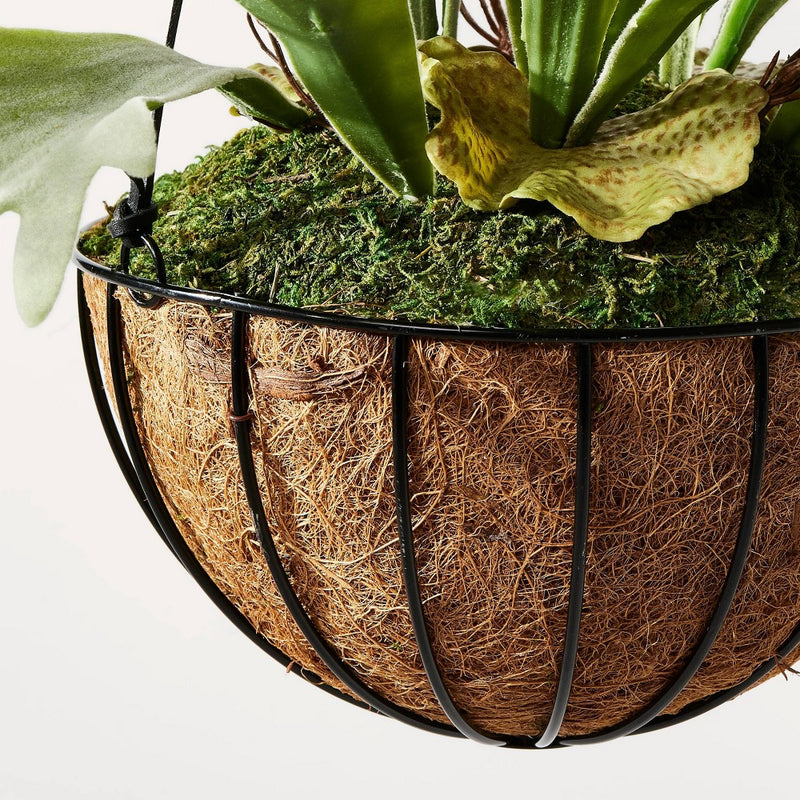 13" Artificial Hanging Staghorn Plant - Hilton Carter for Target (LOCAL PICKUP ONLY)
