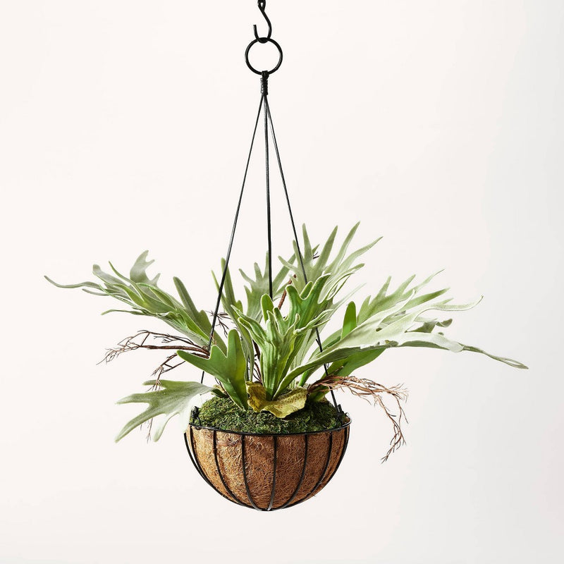 13" Artificial Hanging Staghorn Plant - Hilton Carter for Target (LOCAL PICKUP ONLY)
