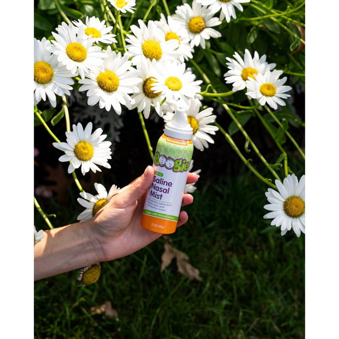 Boogie Mist Stuffy Nose Spray Fresh Scent - 3.1 oz