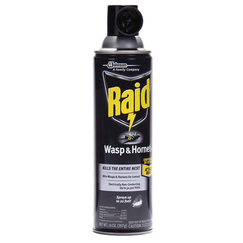 Raid Wasp & Hornet Killer - 14oz