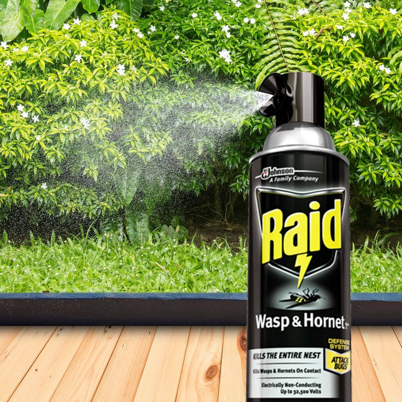 Raid Wasp & Hornet Killer - 14oz