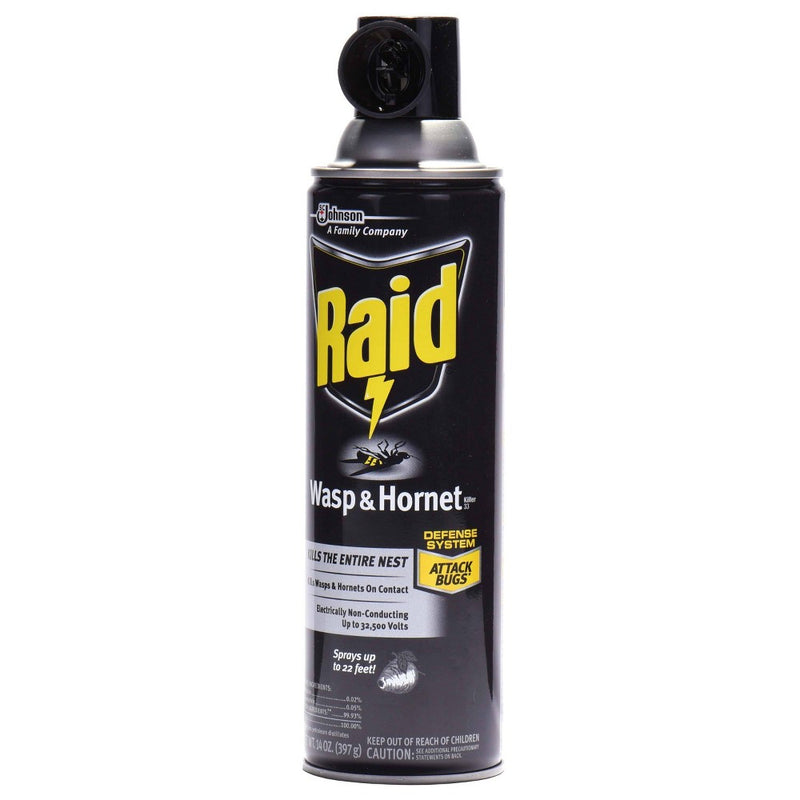 Raid Wasp & Hornet Killer - 14oz