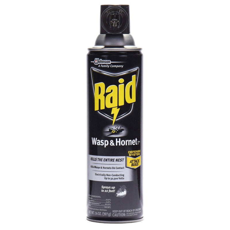 Raid Wasp & Hornet Killer - 14oz