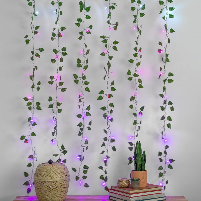 5" x 3.5" LED Vine Curtain String Lights Ombre - West & Arrow