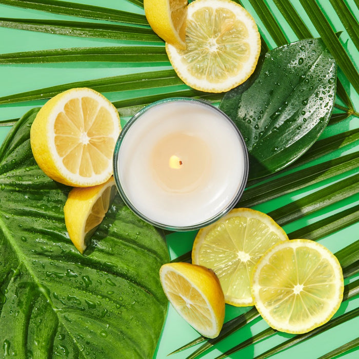Grove Co. Fresh Horizons Candle - Palm Leaf Mist - 5.5oz