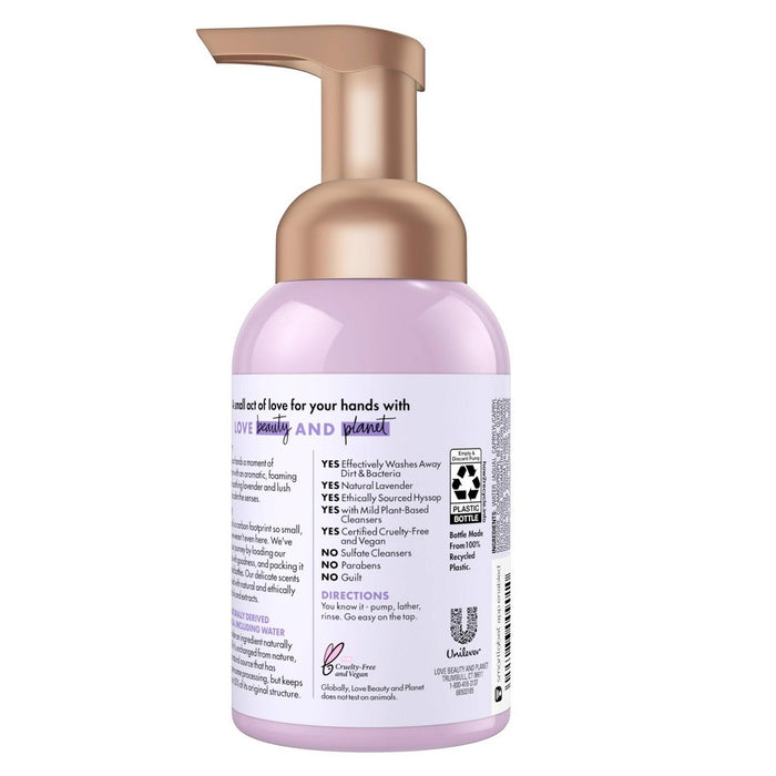 Beloved Lavender & Hyssop Foaming Hand Wash Soap - 8 fl oz