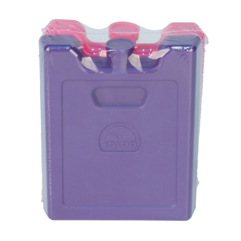 Igloo 2pk Ice Blocks - Pink/Purple