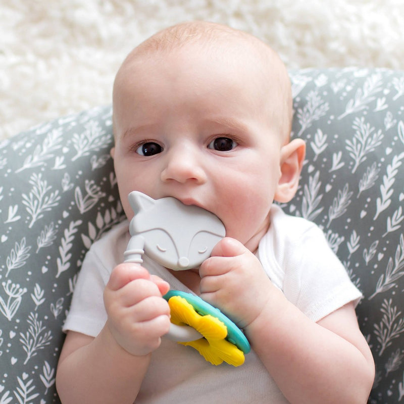 Dr. Brown's Fox Learning Loop Teether