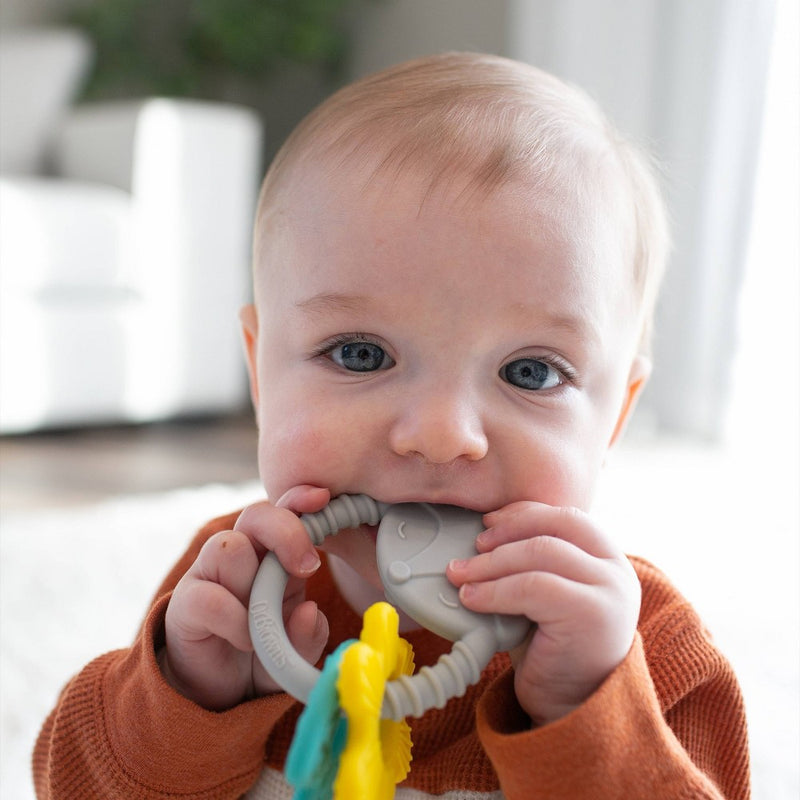Dr. Brown's Fox Learning Loop Teether