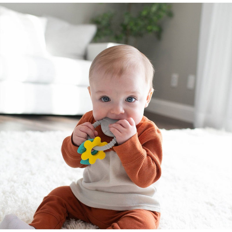Dr. Brown's Fox Learning Loop Teether