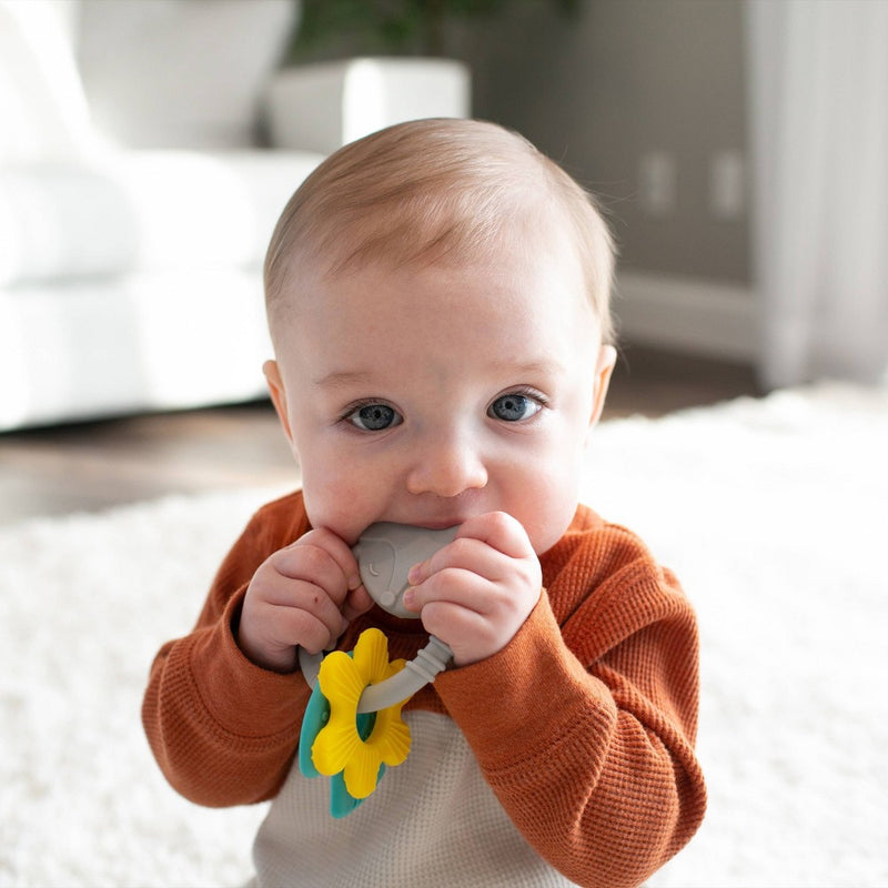 Dr. Brown's Fox Learning Loop Teether
