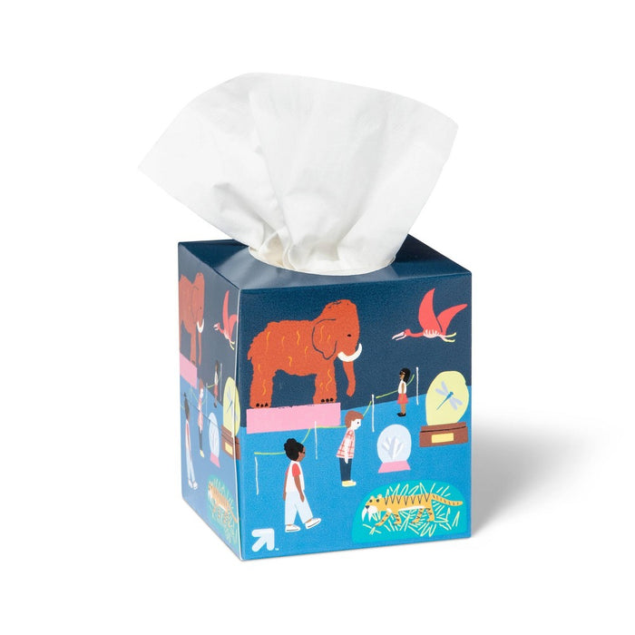 Back-to-School Ultra Soft Facial Tissue - Museum - 65ct - up & up™