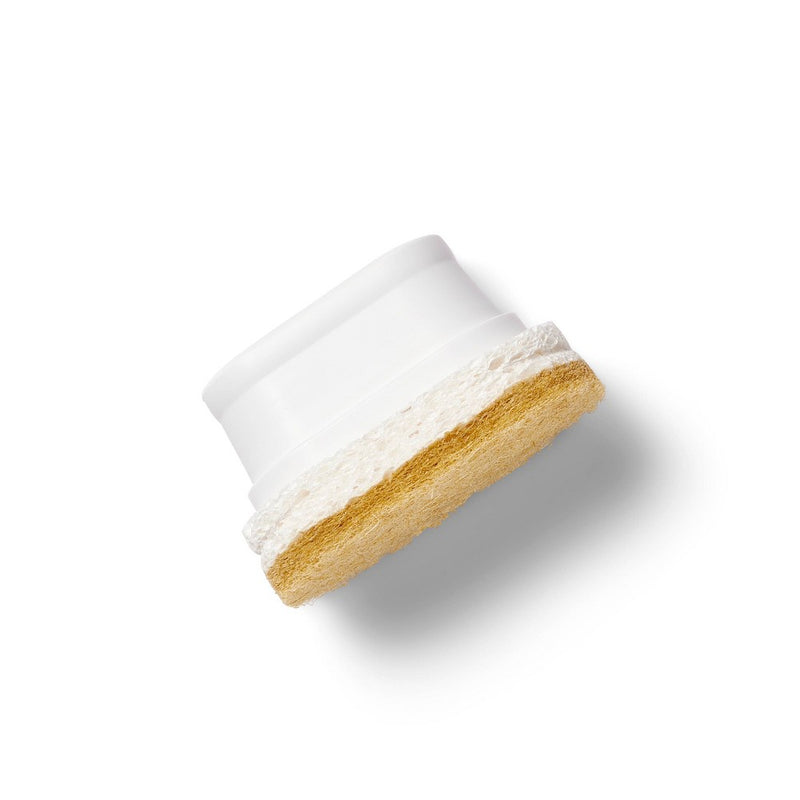Dish Sponge Replacement Heads - 2ct - Everspring™